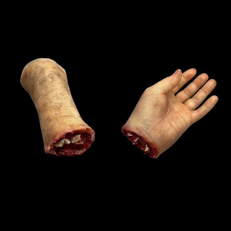 1 x Male Severed Arm and Hand - Season 1