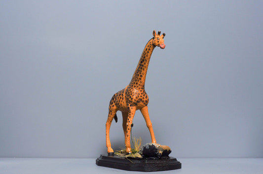 The Giraffe from The River