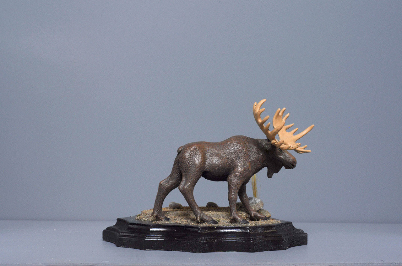 The Moose from The River
