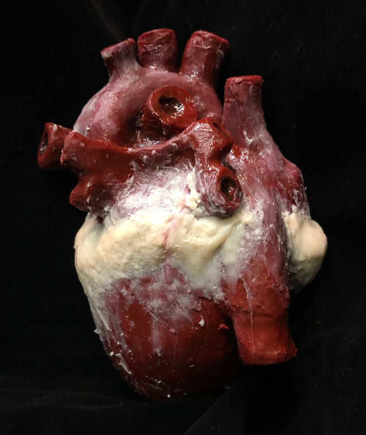 Fake Prosthetic Silicone Heart
